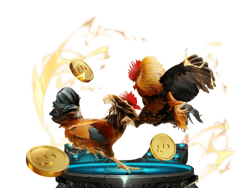 Mẹo Cá Cược Đá Gà Hiệu Quả