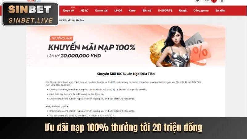 Hoàn trả cá cược sin88